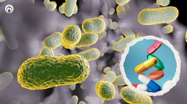 Zosurabalpina: así es el superantiobiótico que erradicaría a las bacterias más peligrosas