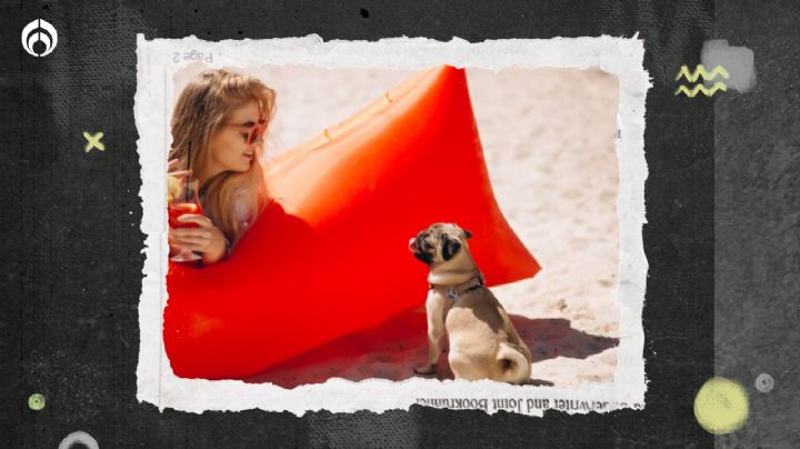 Megapuente 2024: 5 playas mexicanas pet-friendly para escaparte con tu ‘lomito’