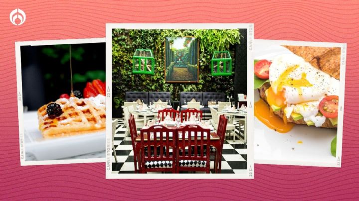 El restaurante de lujo de CDMX con desayuno buffet por solo 290 pesos; tiene buenísimas recomendaciones