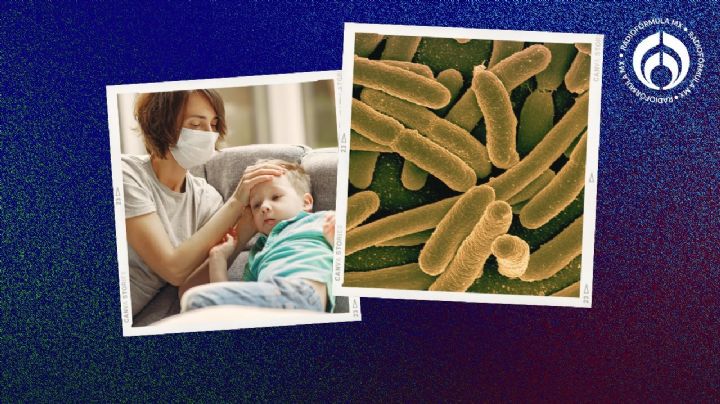 Bacteria klebsiella oxytoca: ¿cuáles son los síntomas de la infección que ‘acecha’ en México?