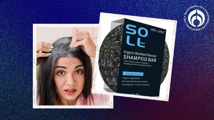 Dónde comprar barato el jabón más efectivo para cubrir las canas sin tinte y sin dañar tu cabello