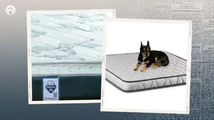 Bodega Aurrera remata colchón queen size Spring Air ¡y con cama para tu 'perrito'!