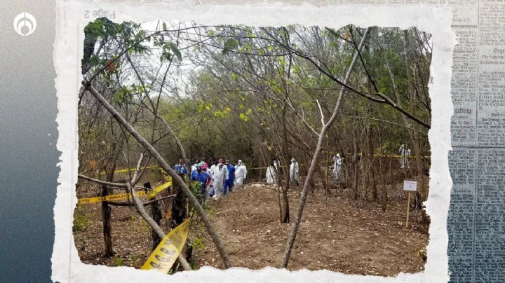 Terror en Michoacán: hallan 11 cadáveres con signos de tortura en fosas clandestinas