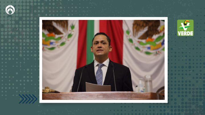 PVEM-CDMX propone sustituir la ‘Patria Potestad’, por ‘Responsabilidad Parental’