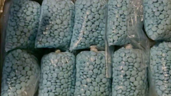 Incautan 180 mil pastillas de fentanilo escondidas en camión de pasajeros en Sonora