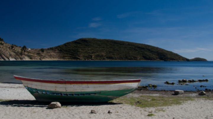 Semana Santa 2024: Descubre Isla del Tiburón con precios económicos y seguro contra accidentes