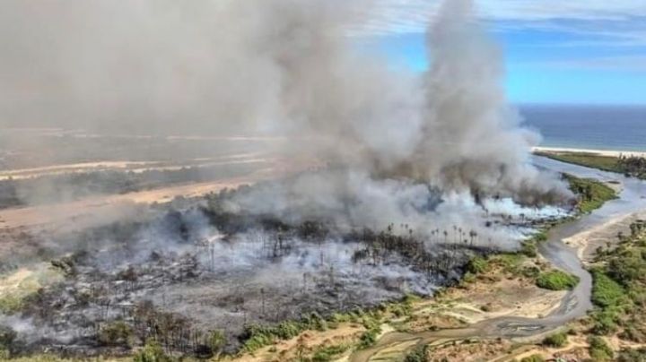 Incendio forestal en Los Cabos: FGR inicia investigación por delito ambiental