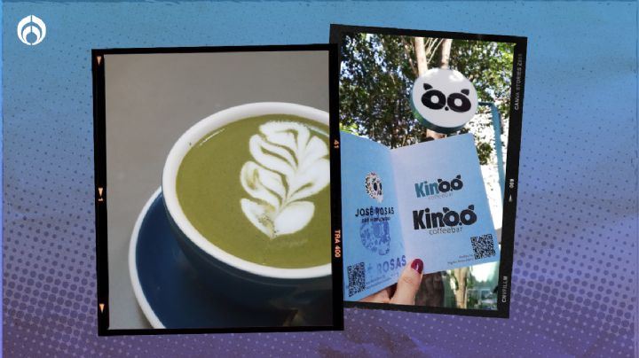 Kinoo: Así es la curiosa cafetería con "mapaches" en la CDMX