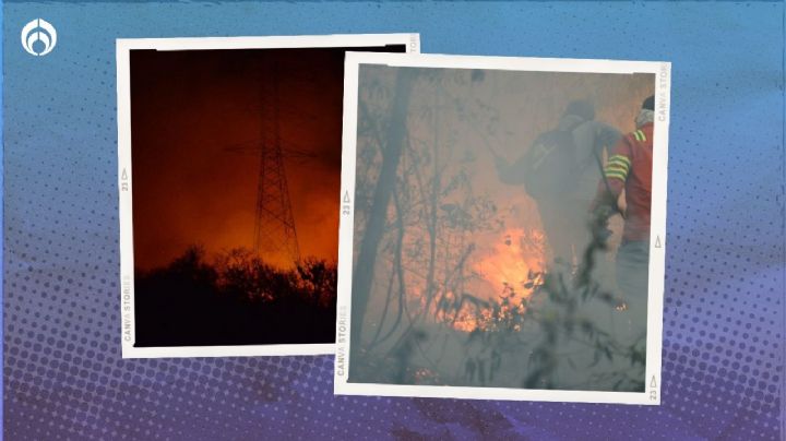 Incendios no ceden en México: Hay 113 activos, según Conafor