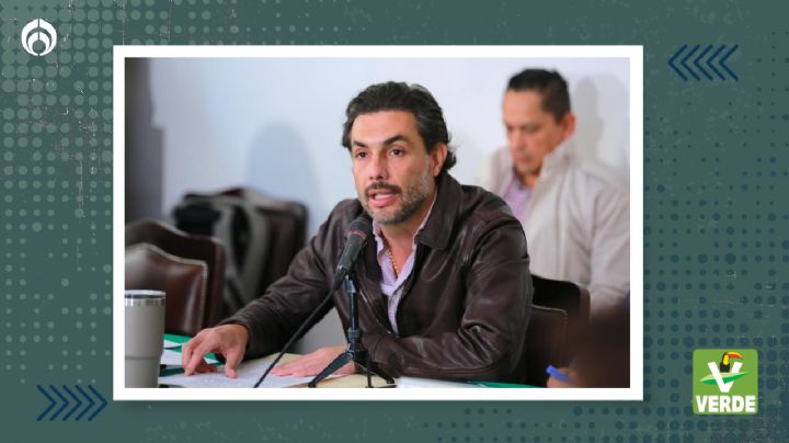 “El proceso electoral mejorará la equidad de género en la política de México”: PVEM-CDMX