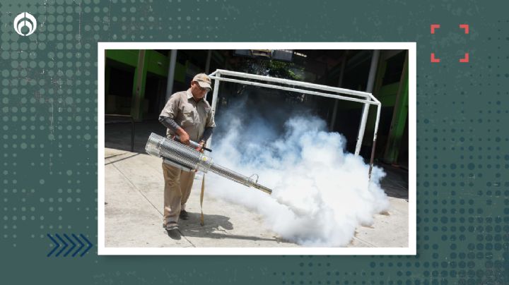 Alerta sanitaria en Oaxaca por primer caso de zika: Te contamos cómo se transmite