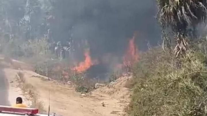 Fuego por todos lados: Se registra incendio en Pueblo Mágico de El Palmar en La Paz