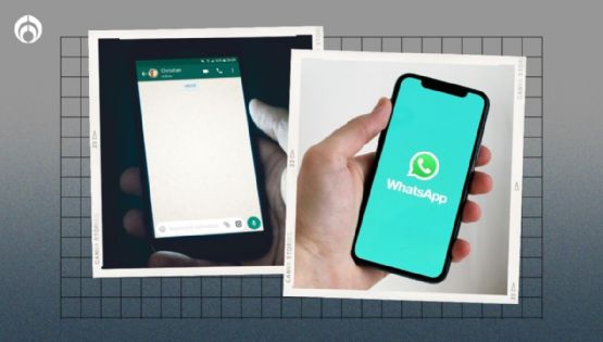 WhatsApp: checa el requisito obligatorio para mañana y seguir chateando, pero MÁS SEGURO