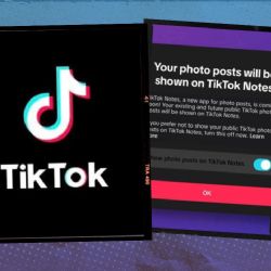 ¡A un lado Instagram! Esta es la nueva app de fotos que alista TikTok