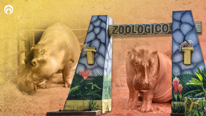 El Zoológico Centenario de Mérida: un legado de conservación y diversión desde 1910