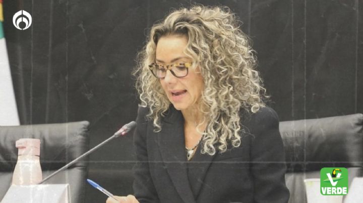 En el Senado, PVEM busca justicia para víctimas de abuso sexual infantil