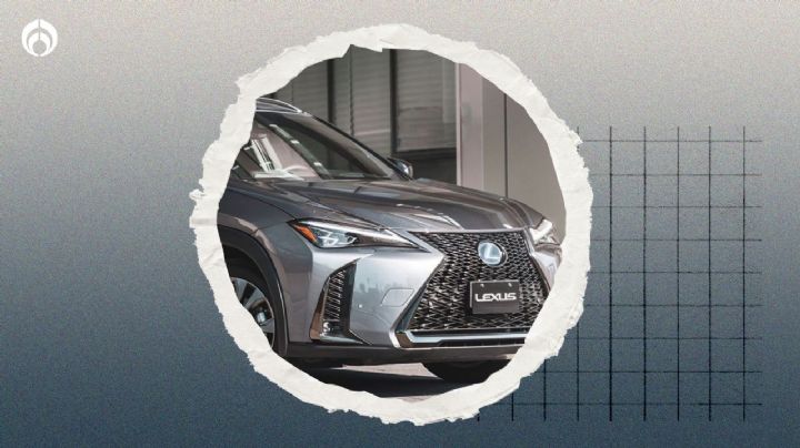 Lexus UX 300 h 2025 llega a México, más potente y con mejor consumo, conoce precios y versiones