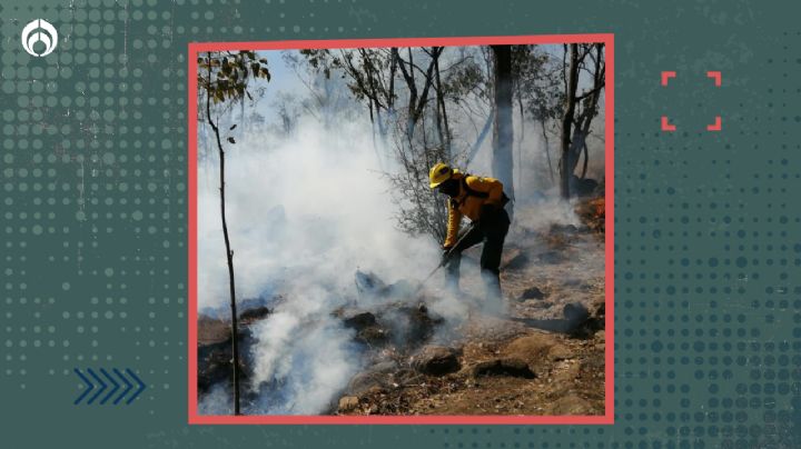 Esta es la nueva estrategia que se empleará en el Edomex para combatir incendios