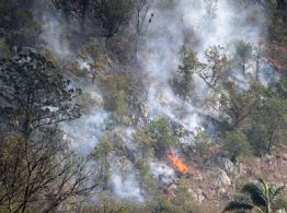 Incendio en Veracruz: autoridades y voluntarios continúan sofocando siniestro en Río Blanco
