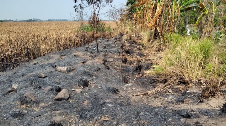 (VIDEO) Tristes imagenes deja incendio en reserva natural Arroyo Moreno en Veracruz