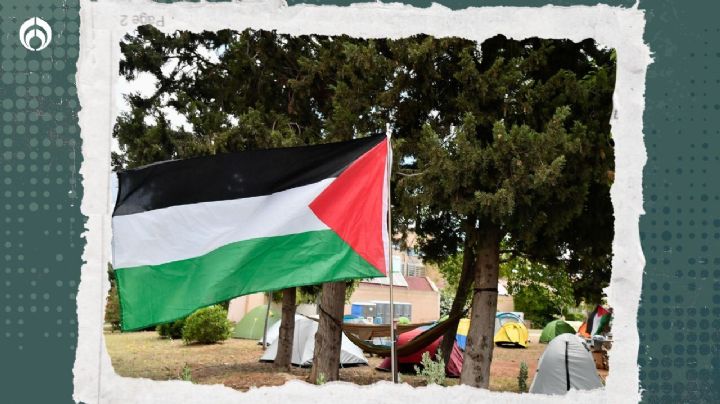 Palestina: las claves para entender qué implica reconocerlo como Estado