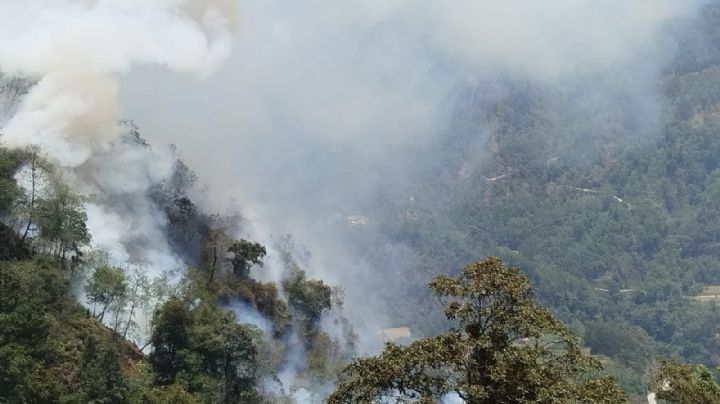 Se pierden 18 hectáreas de cerro tras incendio en municipio de La Perla, Veracruz