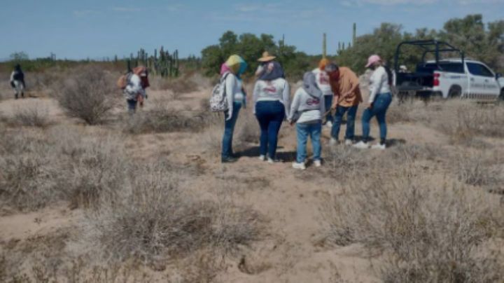 Cementerio clandestino escondía más de 50 cuerpos asesinados en Sonora