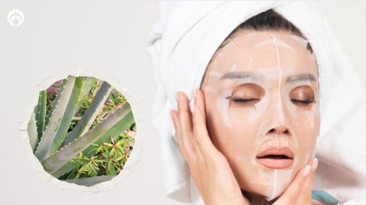 Haz tu propia mascarilla con sábila (y otros ingredientes) para eliminar las manchas y el acné