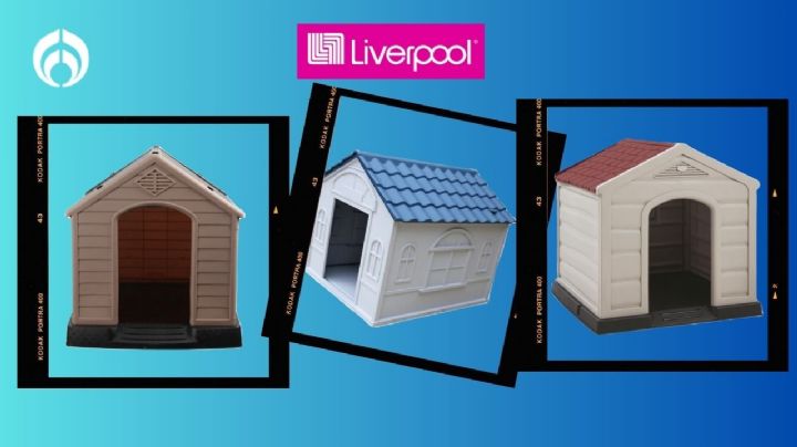 Las casas para perro que Liverpool tiene con descuento, ¡para que el lomito no se moje!