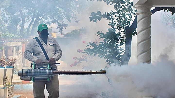 Dengue en México: lluvias intensas incrementan los casos en Morelos; hay 8 muertos