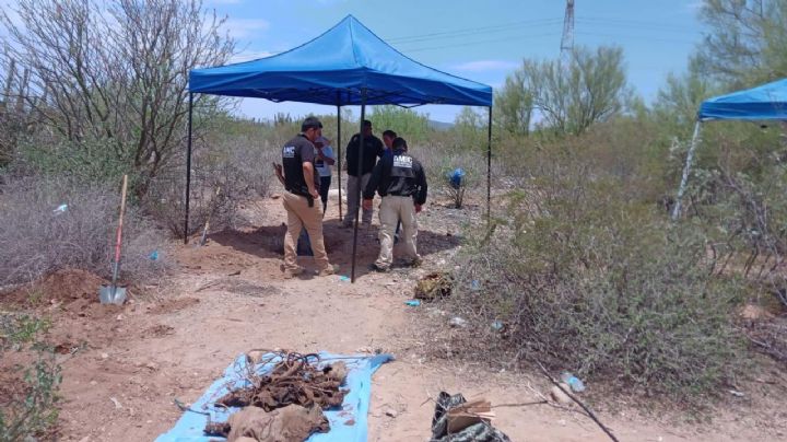 Guerreras Buscadoras de Guaymas y Empalme localizan cinco fosas clandestinas