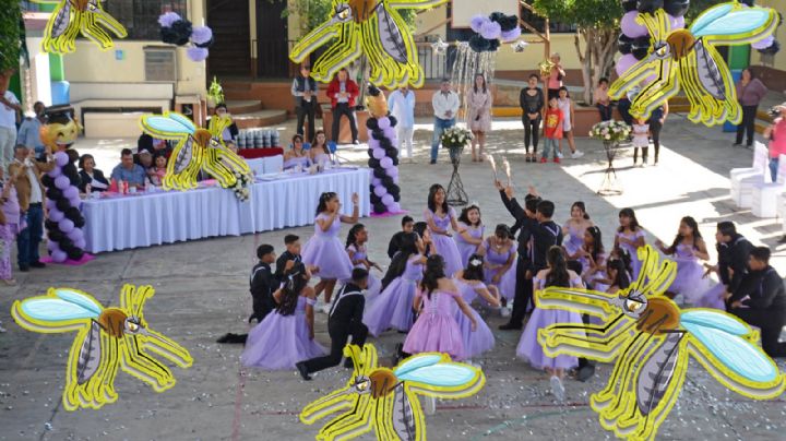 Dengue en Morelos: en tan solo una semana se reportan 112 nuevos casos graves