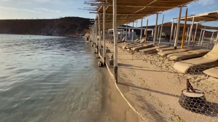 (VIDEO) Con rejas de gallinero 'Don Mergas' privatiza una de las playas más famosas de La Paz