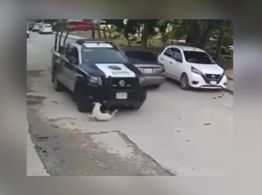 Otro hecho de violencia contra animales se viraliza: policía atropella a perrito en Cancún