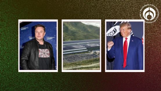 Tesla frena planta en México: Musk esperará hasta después de elecciones en EU
