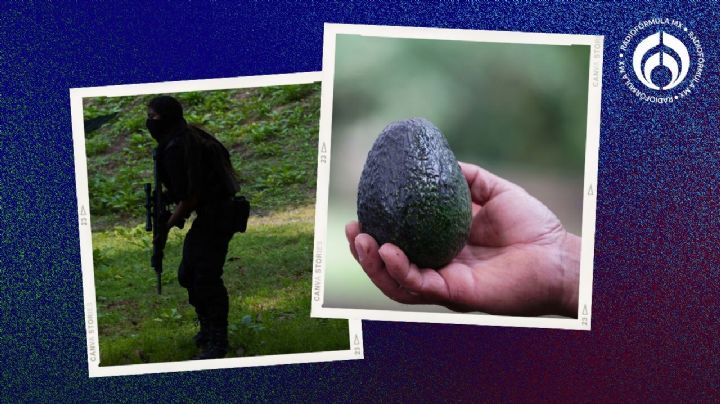 Aguacate ‘carísimo’: acusan que cuesta hasta 40% más por la violencia