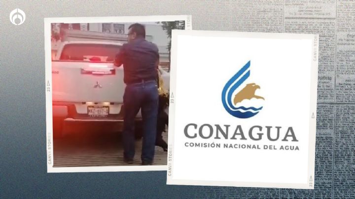 Conagua condena maltrato en caso de seis perritos ahorcados; 'fue empresa contratada', dice