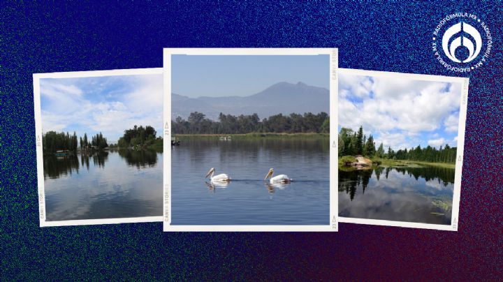 El Lago de los Reyes Aztecas, patrimonio cultural en Tláhuac ¿lo conoces?