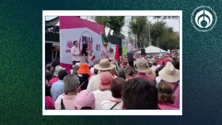 Marea Rosa llega al INE: protestan contra sobrerrepresentación de la 4T