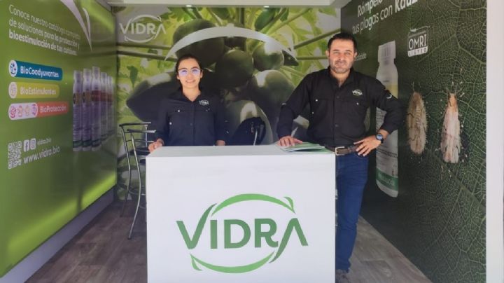 Vidra participa activamente dando soluciones para las berries y papayas en México