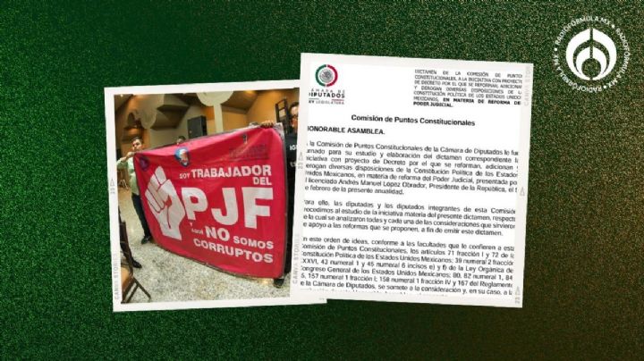 Reforma judicial: Esto dice a DETALLE el nuevo dictamen que pronto será votado