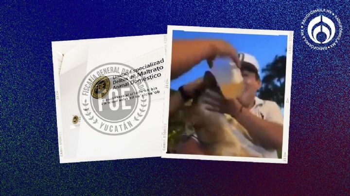 Hombre 'emborracha' a su perrito... y lo procesan por darle bebidas alcohólicas