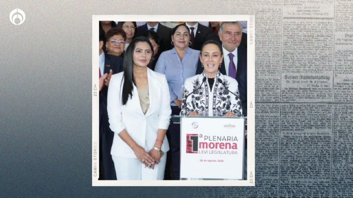 Senadora 'chapulina' del PRD defenderá reforma judicial y aclara que Sheinbaum la invitó a Morena