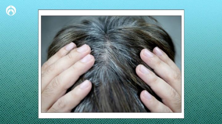 Potente remedio natural para eliminar las canas de forma permanente en minutos