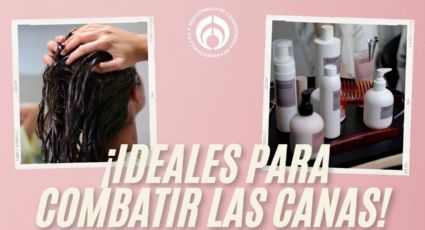 Top 5 de shampoo para cubrir canas: estos son los más efectivos y baratos, según la IA