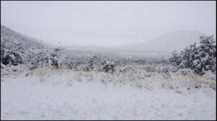 Segunda tormenta invernal causará nevadas en cuatro estados del país 