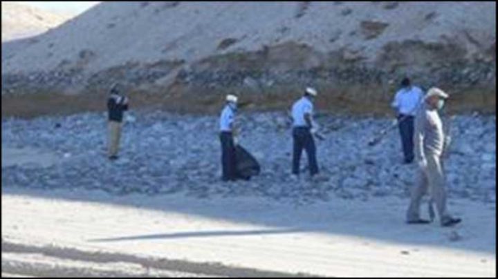 Atiende PROFEPA mortandad de 550 aves marinas en Baja California