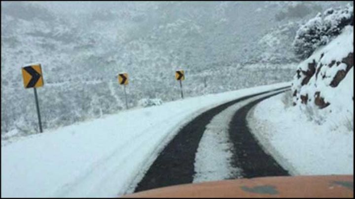 Nevadas ocasionan cinco muertes y cierres de carreteras, en Sonora