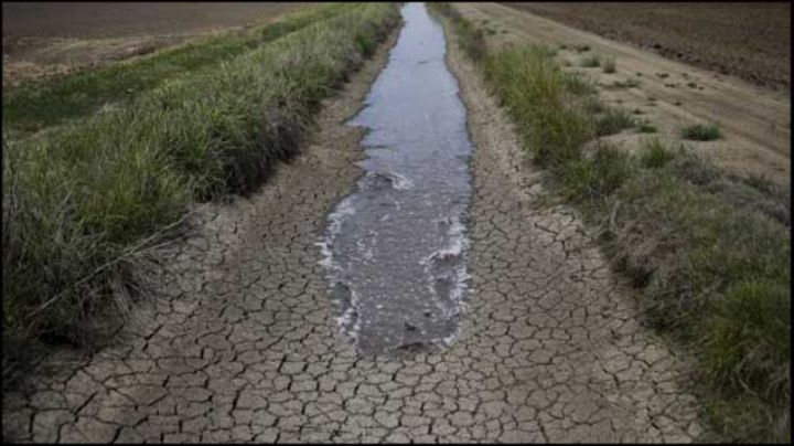 Gobernador de California ordena inédita restricción a consumo de agua. Fórmula Noticias