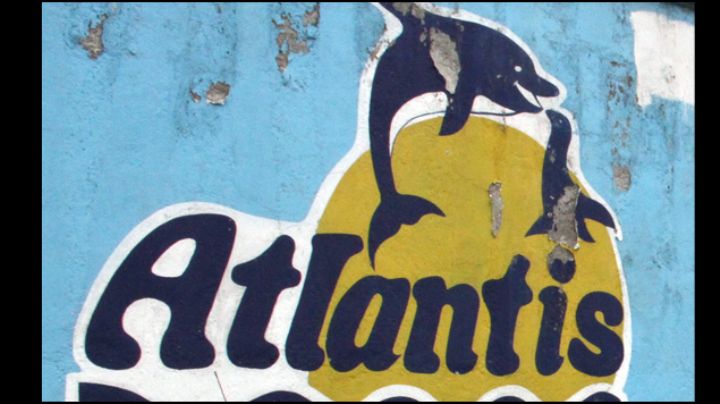 No existe daño a delfines y lobos marinos en Atlantis: Profepa